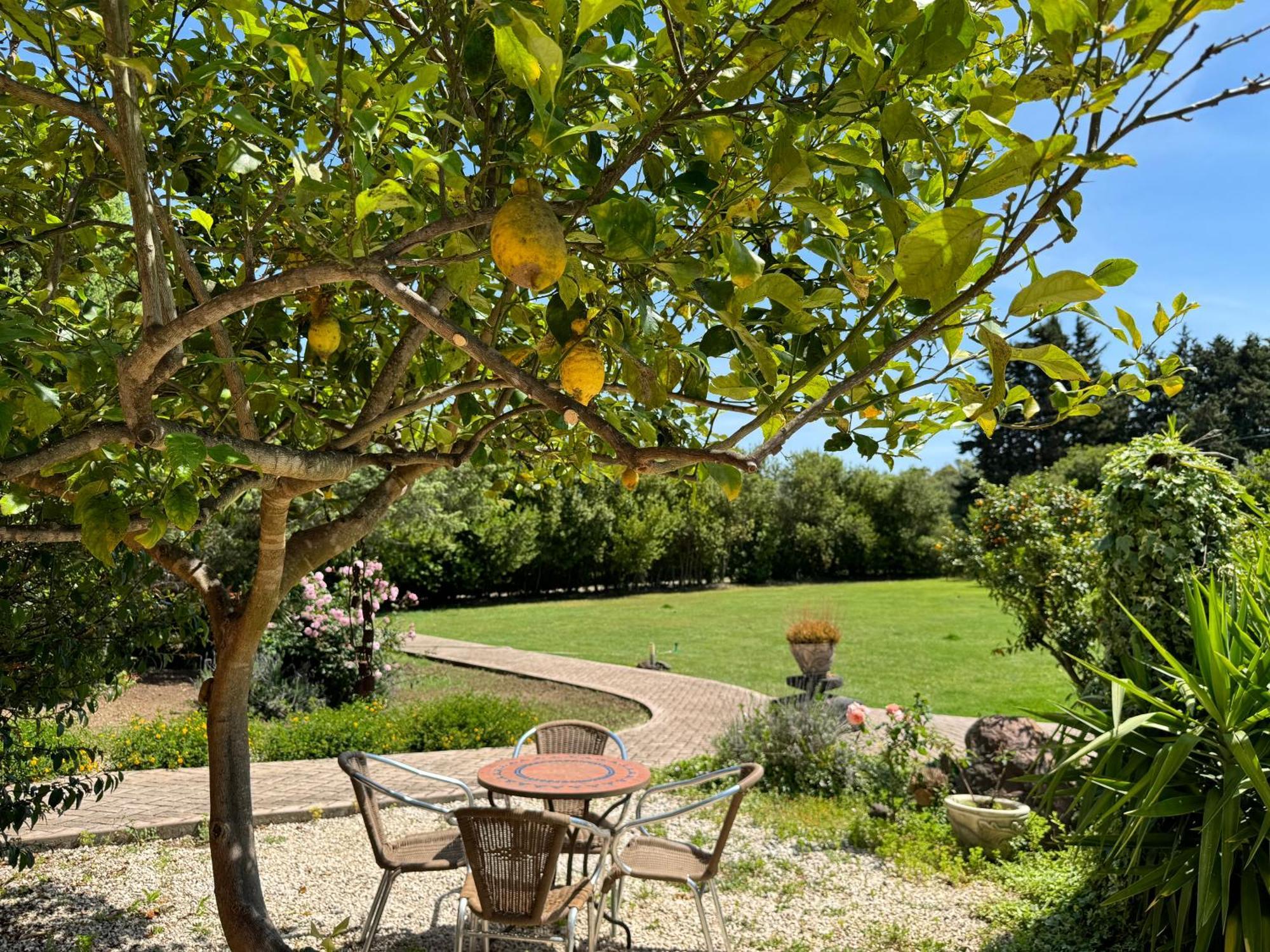 L'Orto Villa San Vero Milis Eksteriør bilde