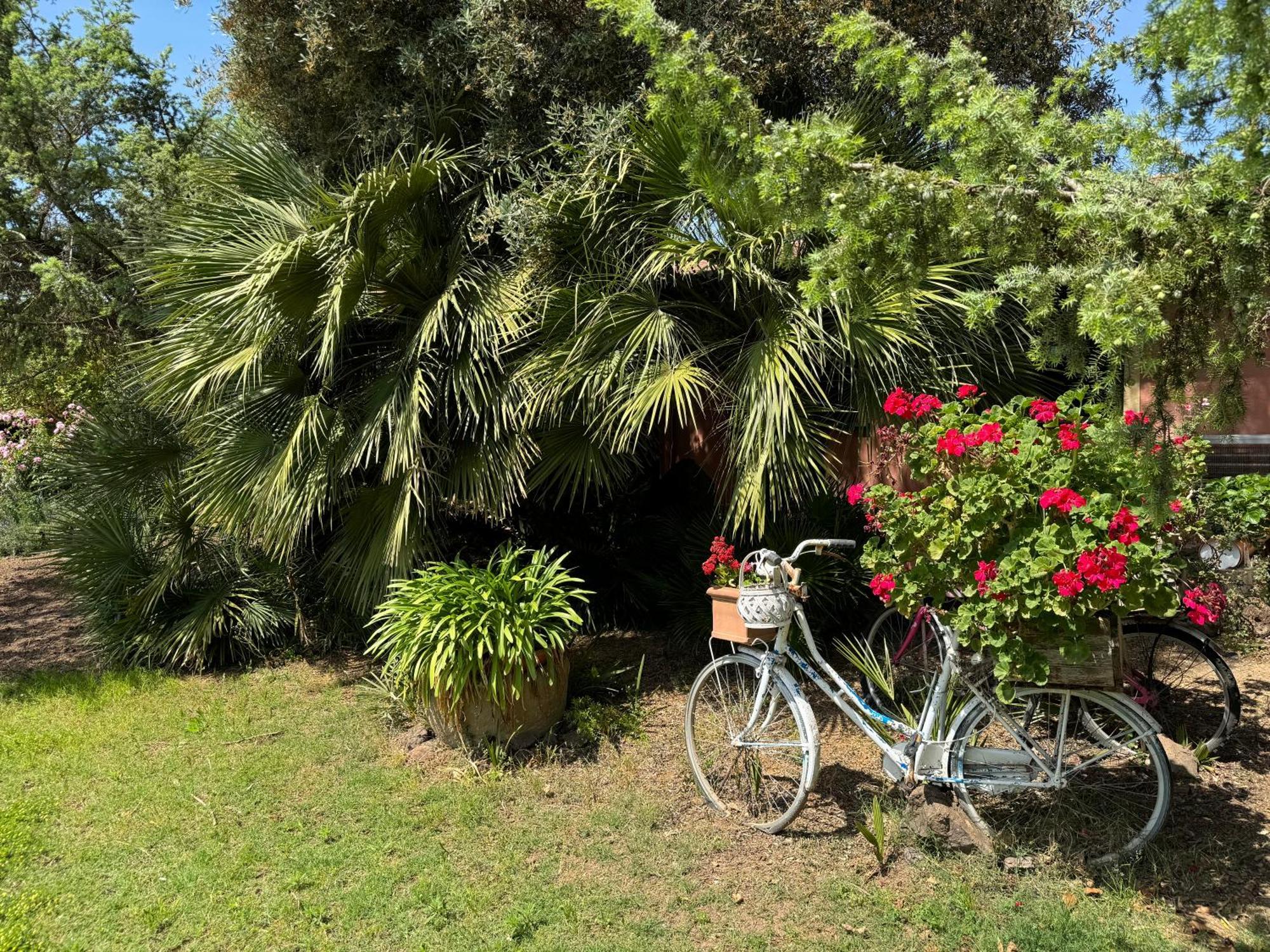 L'Orto Villa San Vero Milis Eksteriør bilde